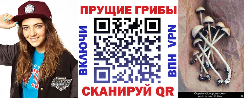 Купить закладки Семикаракорск Псилоцибиновые грибы ЛСД