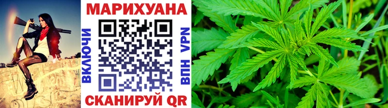 Каннабис сатива  Купить  Семикаракорск 
